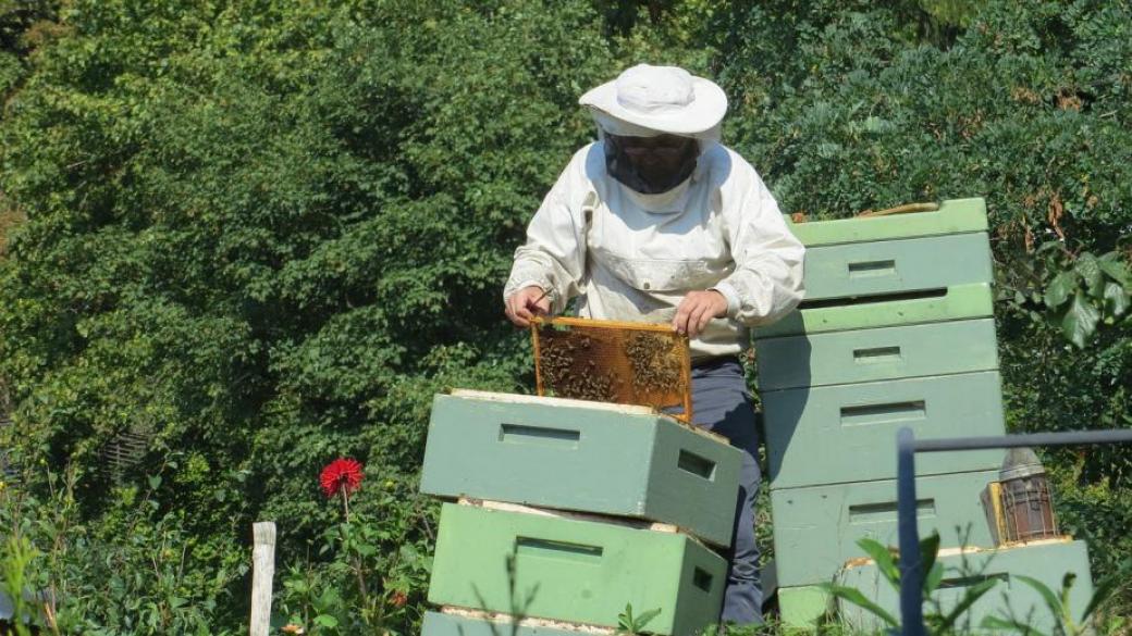 Пчеларите получиха 4.5 млн. лв. по de minimis