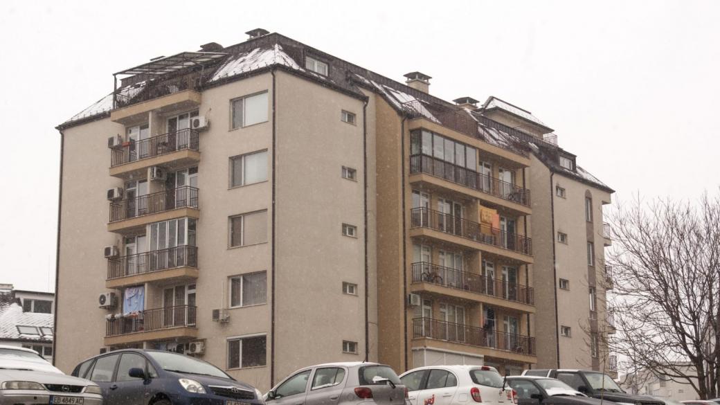 Вечерни новини: Пазарът на имоти се охлажда; Доматите в България поскъпват