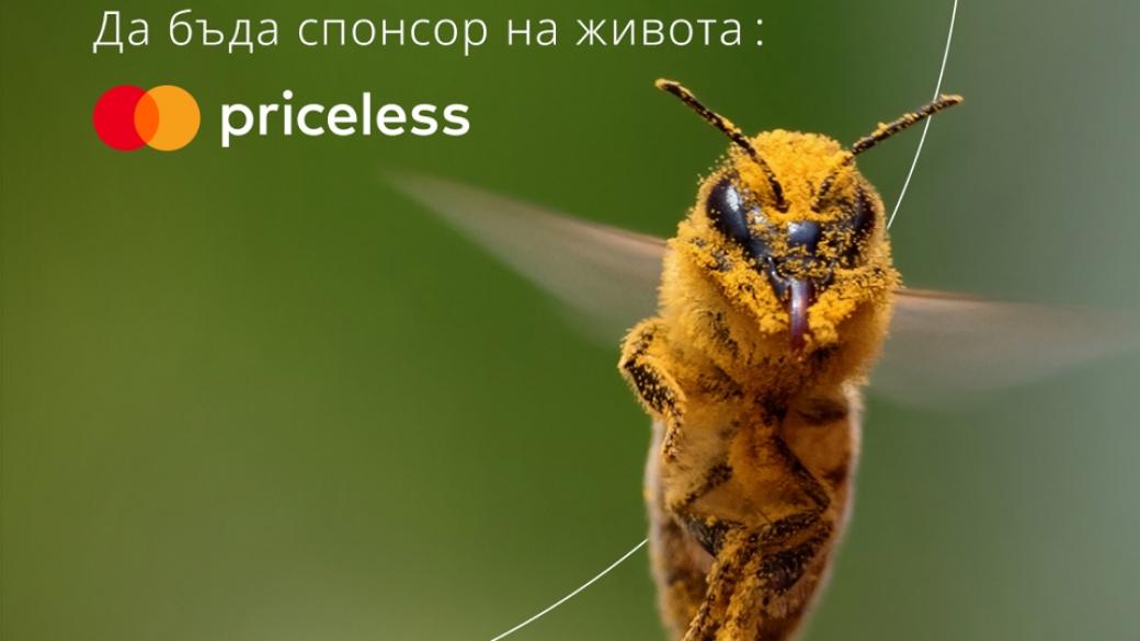 Mastercard и Pollenity разработват лоялна програма, подпомагаща пчеларите в България