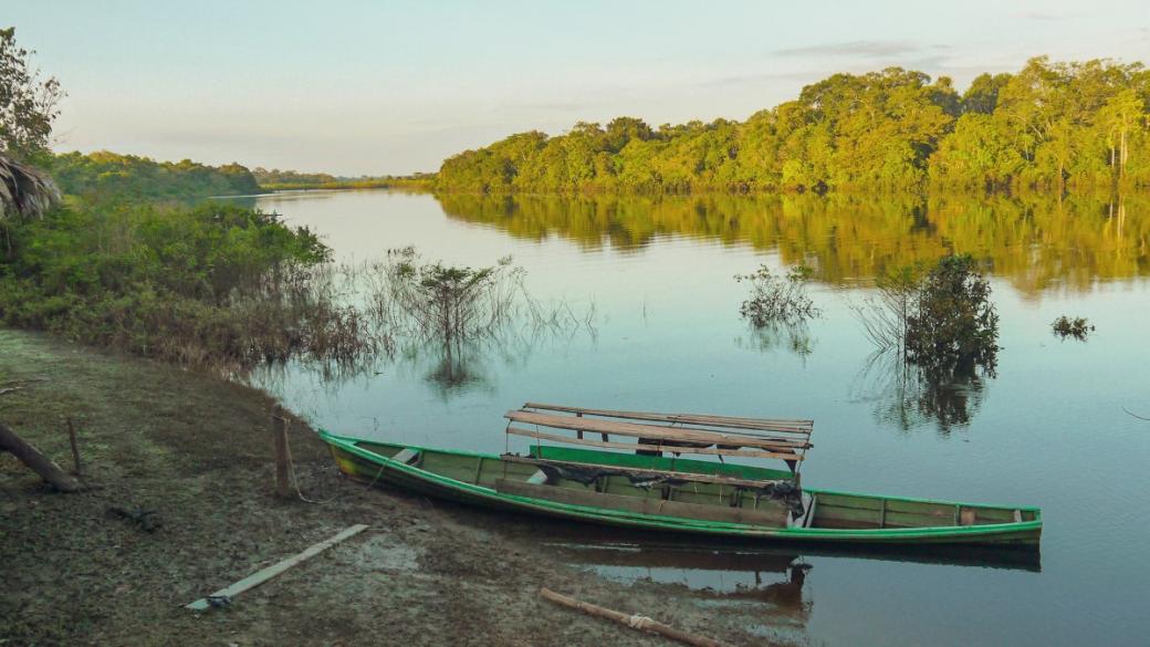 Нов открит древен град обръща представите за живота край Амазонка