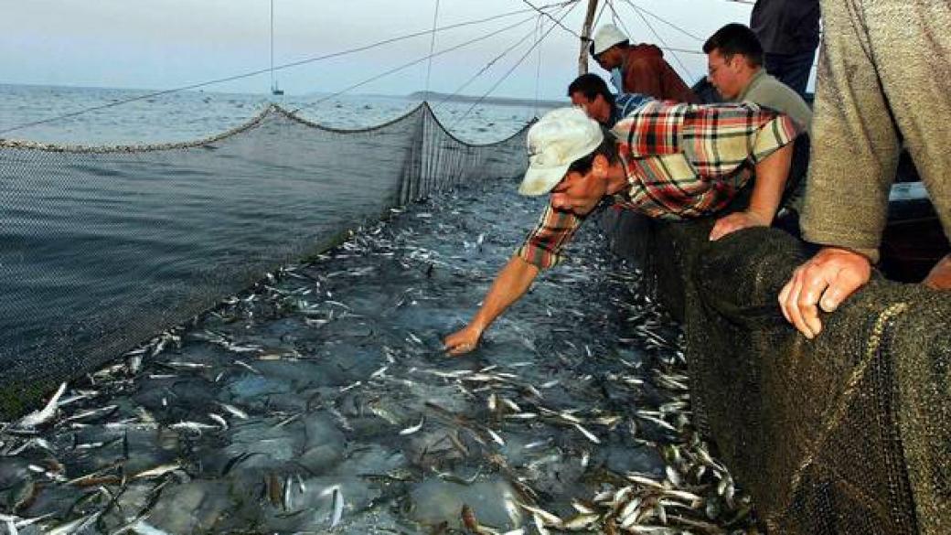 Правителството одобри Програмата за морско дело и рибарство 2014-2020 г.