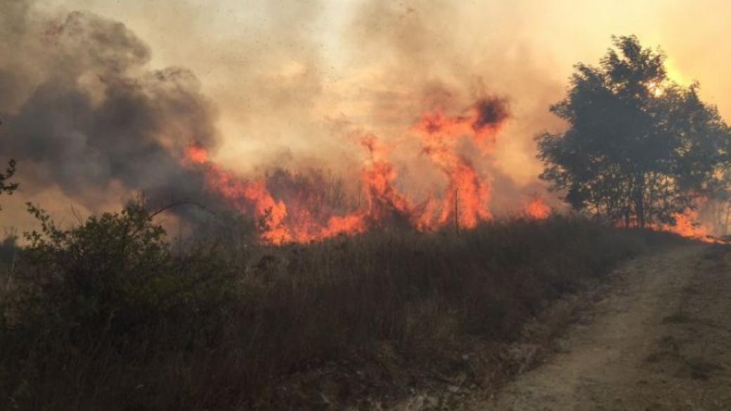 Огромни пожари пламнаха в страната (обновена)
