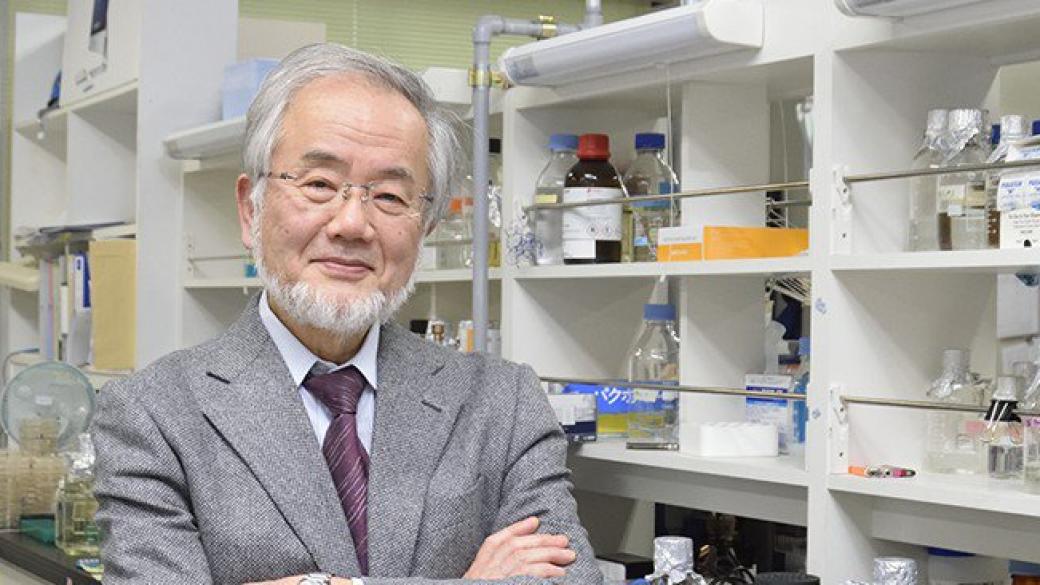 Японец взе Нобелова награда за медицина
