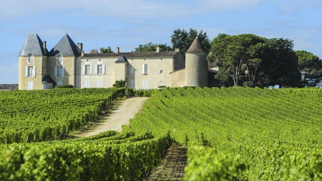 Производството на френско вино е на „исторически ниски“ нива