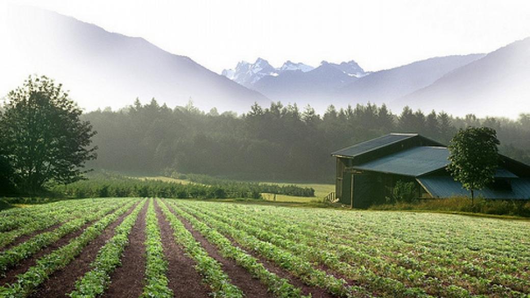 ДФЗ одобри 43 проекта от мярка „Инвестиции в земеделски стопанства”