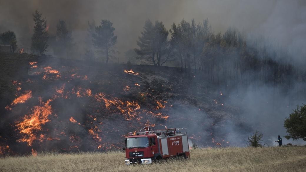 Гърция иска помощ от държавите членки за овладяване на пожарите