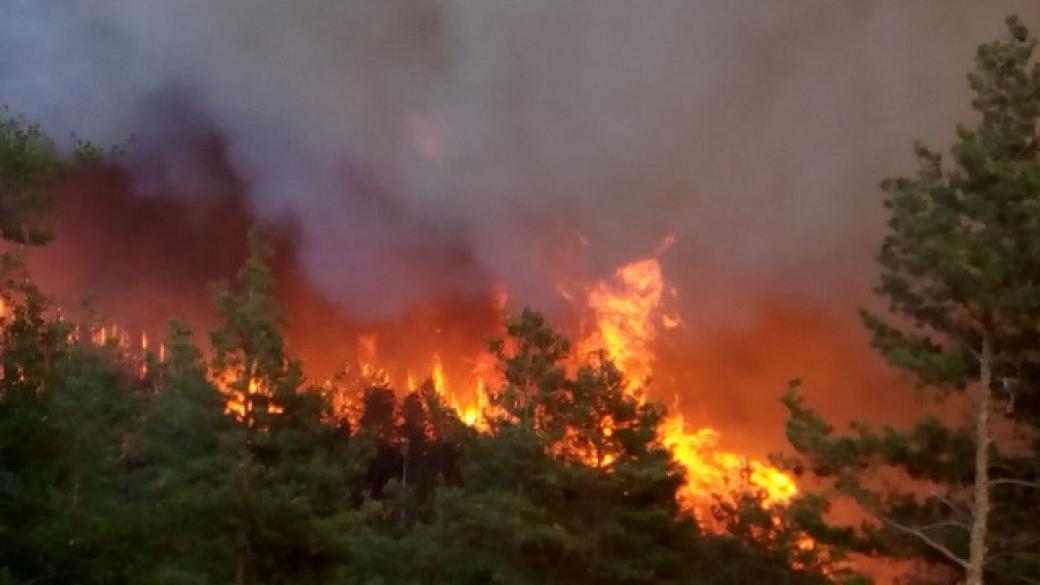 Пожарът в Кресна се разрасна, евакуират село Влахи
