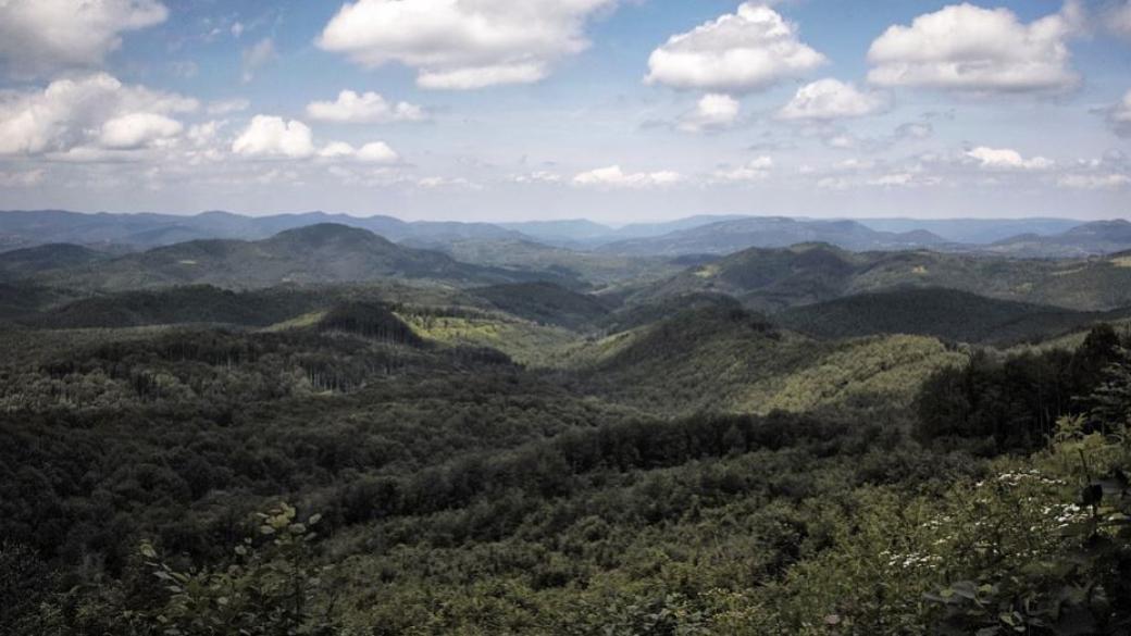 Вековните букови гори в „Централен Балкан“ стават част от обект на ЮНЕСКО