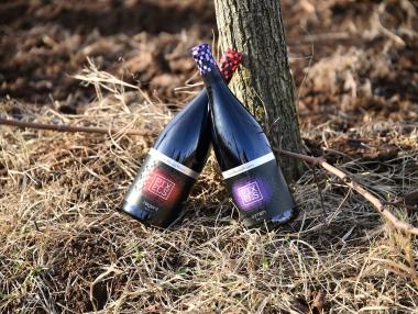 Винени експерти оцениха високо новите червени вина PIXELS