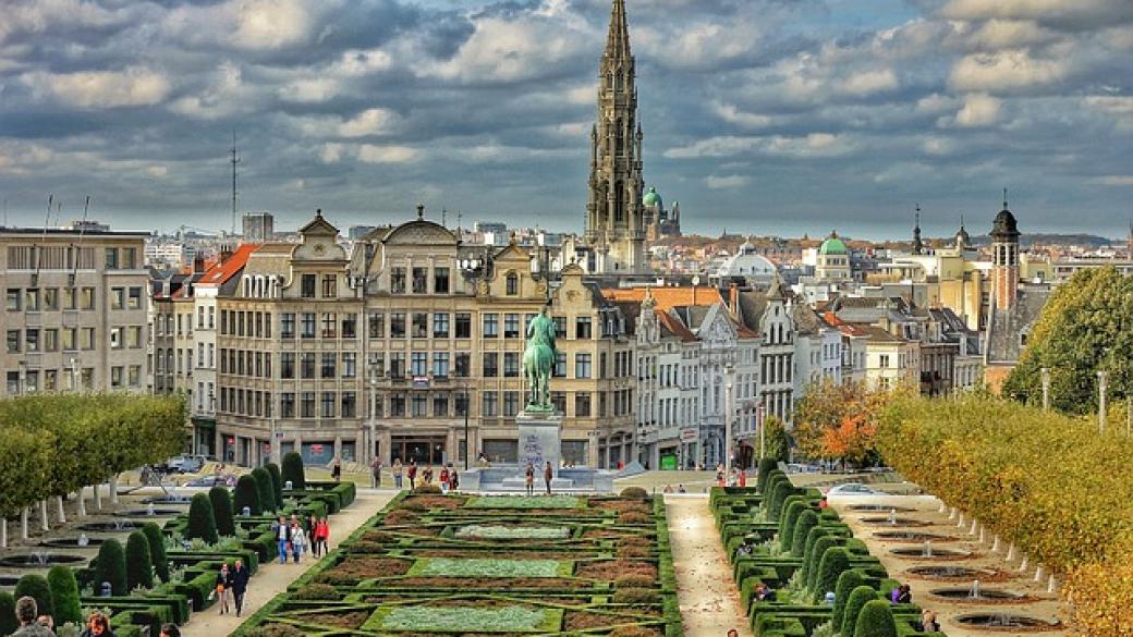 Брюксел ще сади дръвче за всяко новородено дете в града