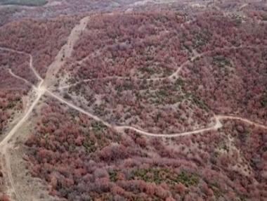 Фирмата, правила сондажи по „Струма“, искала „да си довърши работата“