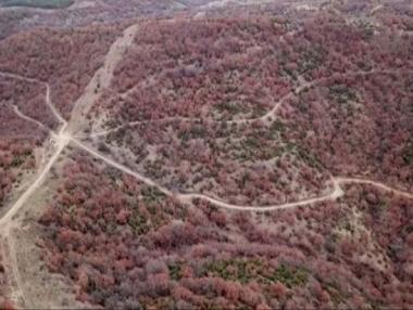 Шефът на горското в Кресна е уволнен заради сондажите по „Струма“