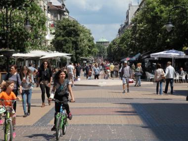 НСИ ще прави преброяване през 2021 г.