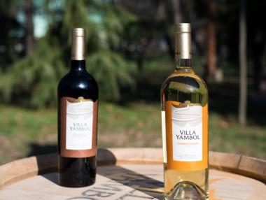 Две български вина с отличия на конкурс в Япония