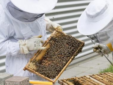 ЕК увеличава помощта de minimis до 25 хил. евро