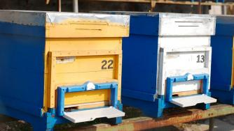 ДФЗ ще компенсира земеделски стопани за унищожени животни и кошери