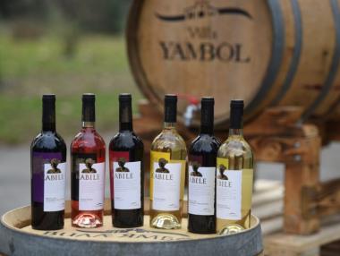 „Вила Ямбол“ спечели най-много медали за България на престижен конкурс в Париж