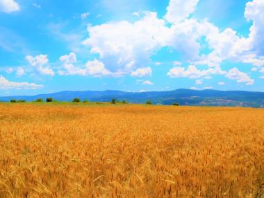 Земеделците ще плащат солидарно за защита от градушки