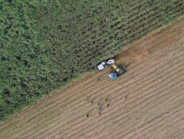 Китайските внос и износ започнаха да се възстановяват