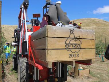 Роботи събират ябълки в овощна градина