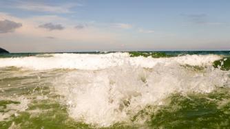 Екоминистерството предлага задължително разделно събиране на отпадъците по плажовете