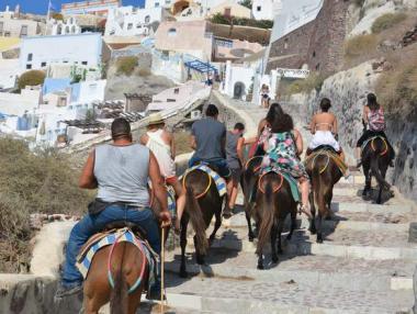 Кампания ще спасява магаретата на Санторини