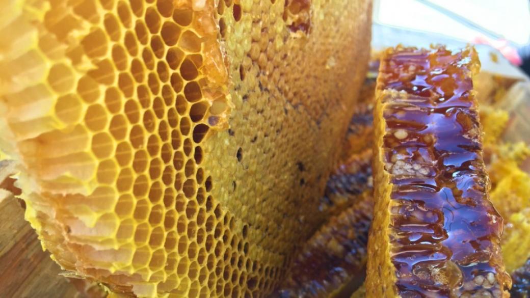 Всички пчелари, кандидатствали за кошери и отводки, ще получат финансиране по НПП