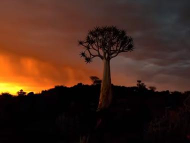 „Не се шегувайте с Майката Земя“ – новата реклама на Apple