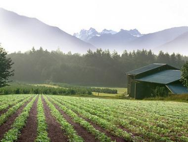 Фонд „Земеделие“ изплати над 58 млн. лв. по мярка „Агроекология и климат“ за Кампания 2018