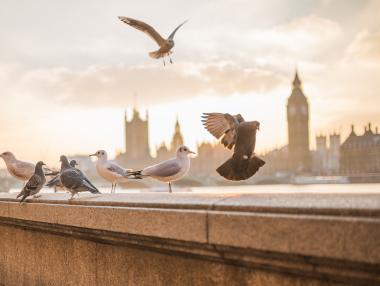 За какво стигат €50 в най-посещаваните градове в Европа