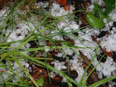 Жълт код за бури и градушки в половин България