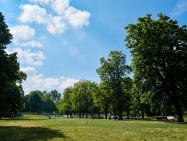 Новият план на Борисовата не предвижда реклами и сергии