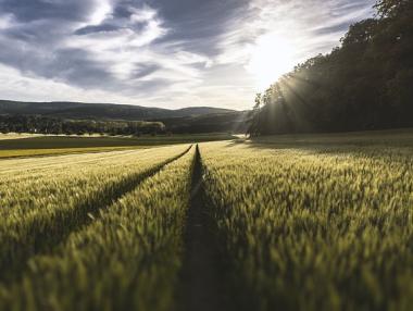 Фонд „Земеделие“ доплати близо 76 млн. лева субсидии за площ