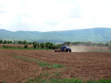 Фонд „Земеделие“ преведе над 3 млн. лв. на овощарите за компенсации за зимните пръскания