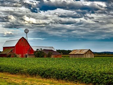 Китай смята да спре да купува соя от САЩ