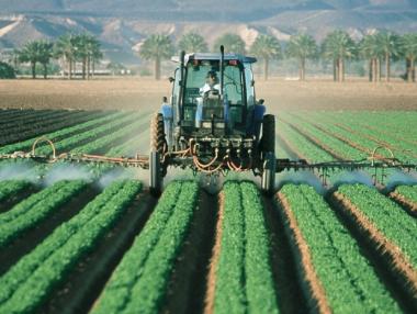 ДФЗ преведе 4.5 млн. лв. на дребните земеделски стопани