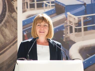 Фандъкова поиска оставката на главния архитект на район „Младост“