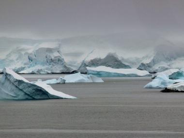 Плаващите ледове около Антарктида се топят с рекордни темпове