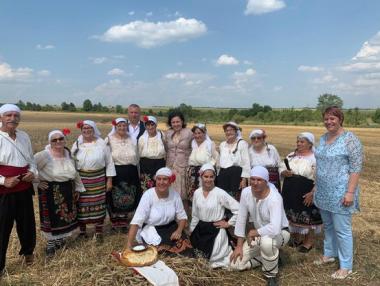 Ожънати са 22% от засетите площи с пшеница