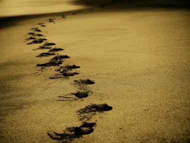 Плаж във Фукушима бе отворен осем години след ядрената авария