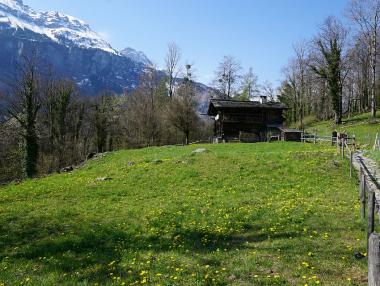 Швейцарско село продава къщи за 1 франк