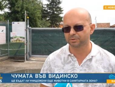 Държавата закъсня с мерките и българското свиневъдство е пред унищожение