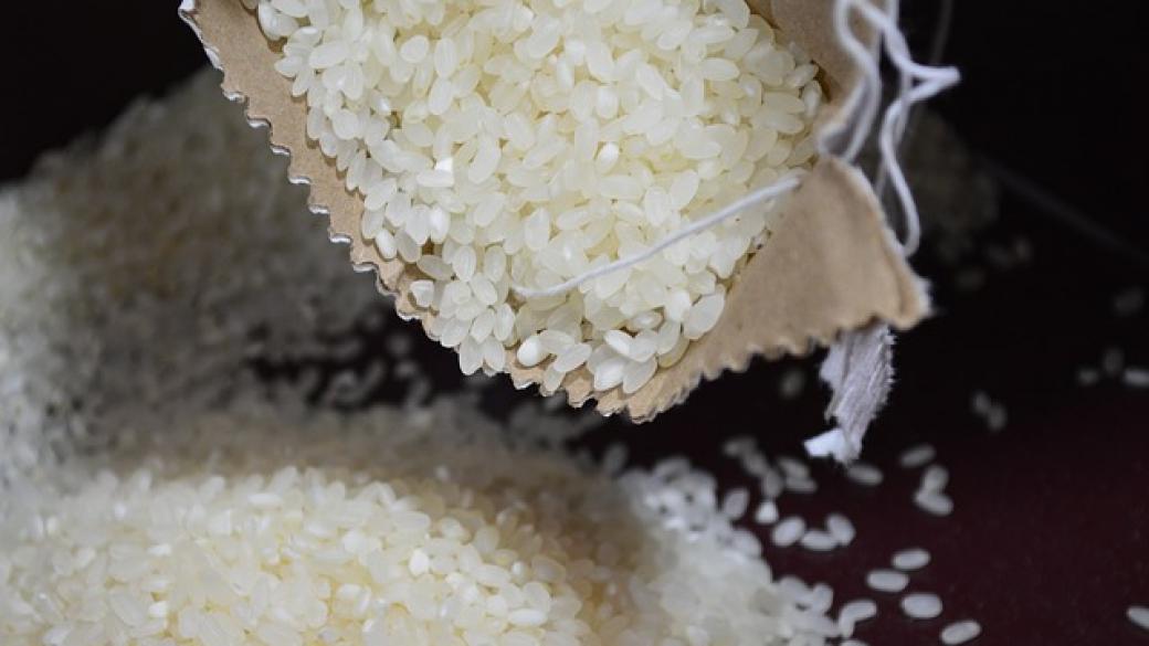 За първи път американска компания ще изнесе ориз за Китай