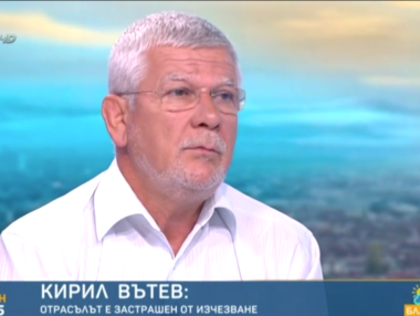 Вътев: По Коледа цената на свинското ще е с 50% по-висока от миналата година