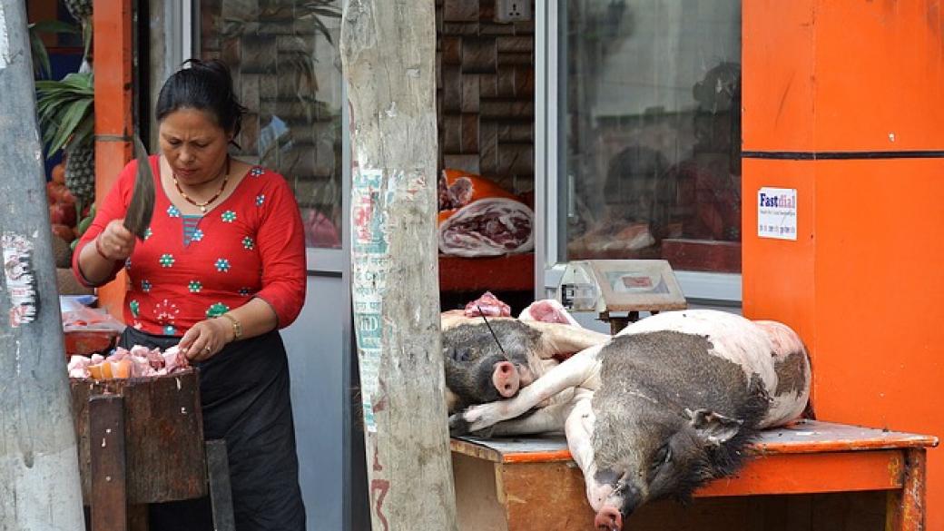 Евронюз: Свиневъдството в Източна Европа е застрашено от заличаване