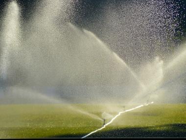 Недостигът на вода в Германия може да доведе до край на някои земеделски отрасли