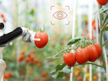 10 прогнози на Huawei за най-важните технологични тенденции до 2025 г.