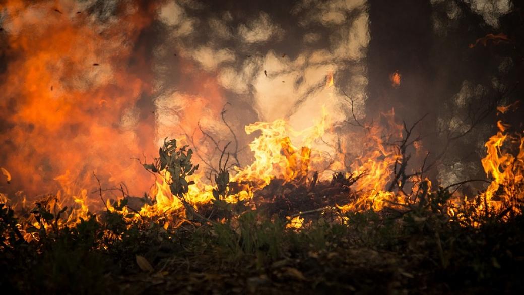 Повече от 50 горски пожара бушуват в Гърция