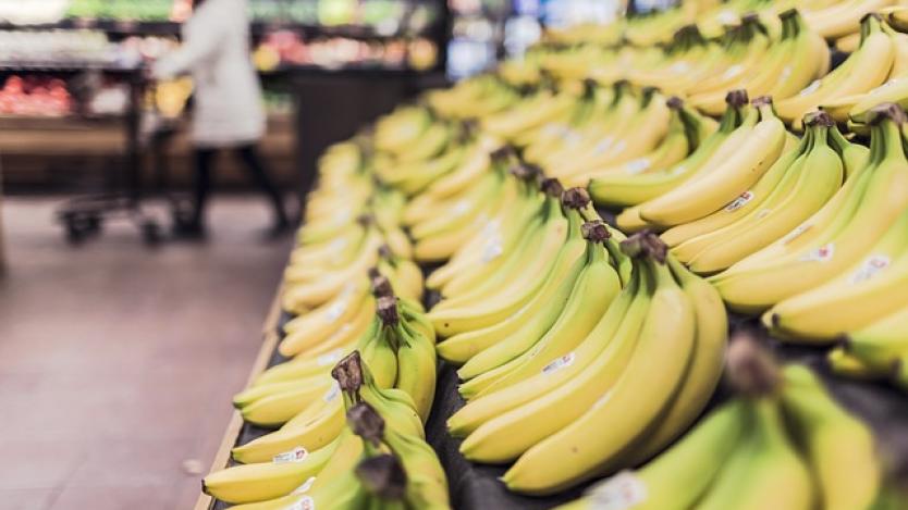 Бананите може да поскъпнат сериозно заради Панамската болест в Колумбия