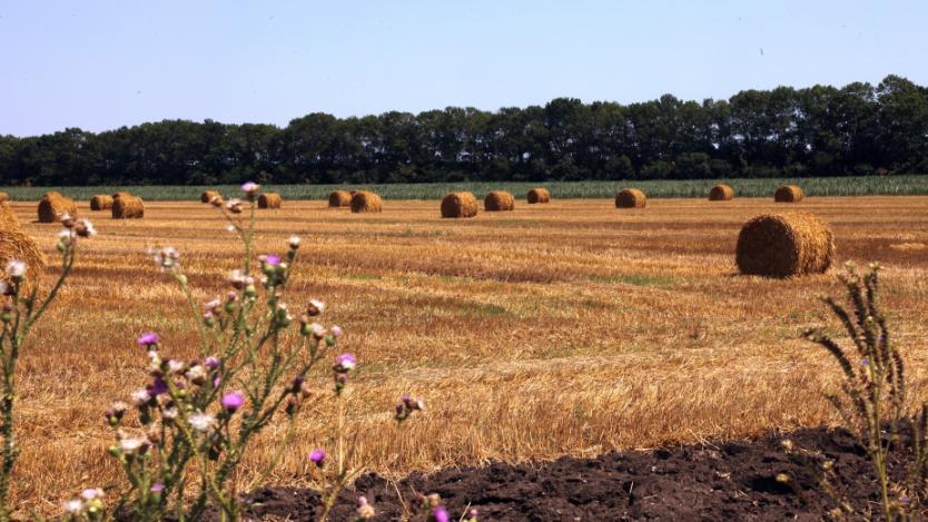 Без европейските субсидии българските земеделци са на загуба